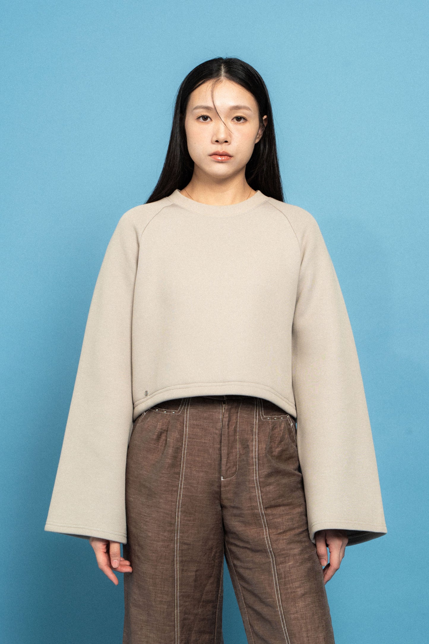 Cream Sleeve Crop Sweatshirt