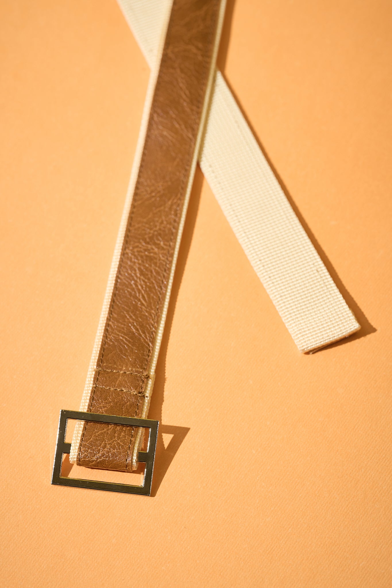 Reversible Belt