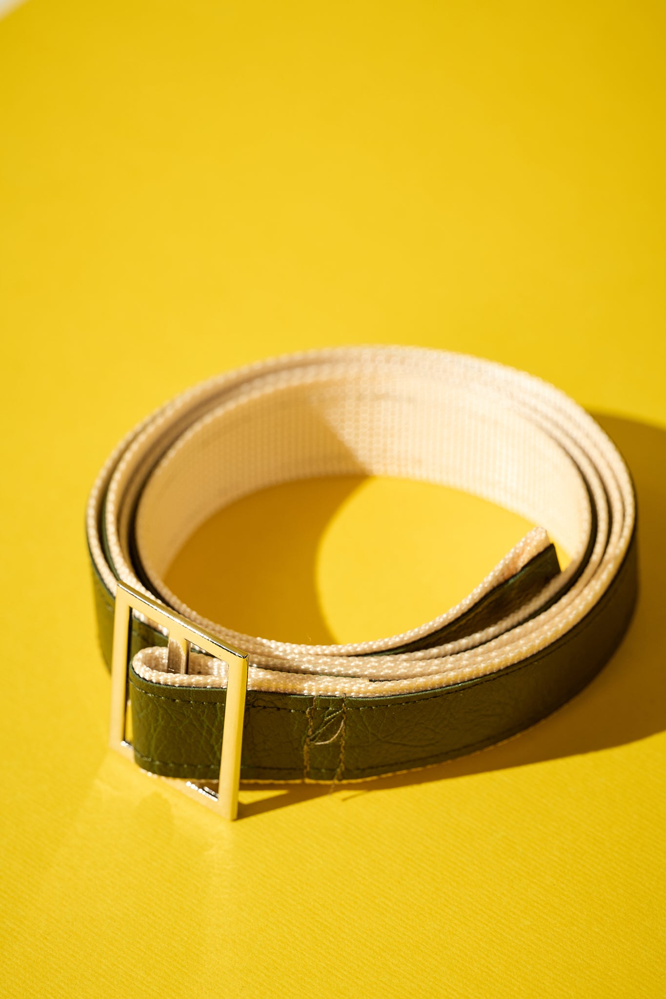 Reversible Belt