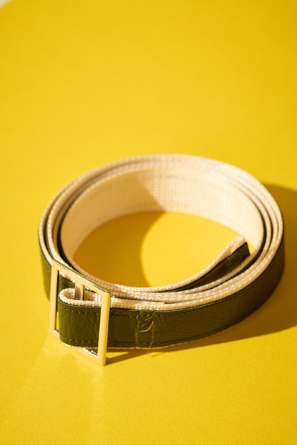 Reversible Belt